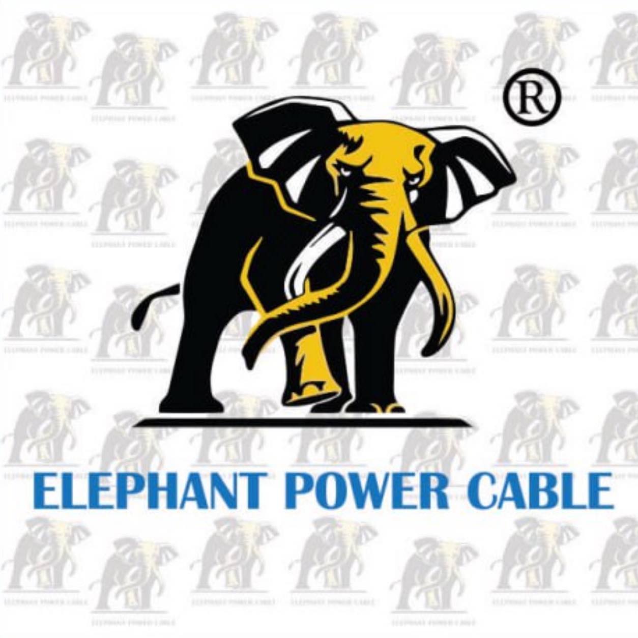 Elephant Power Cable Singapor Standard