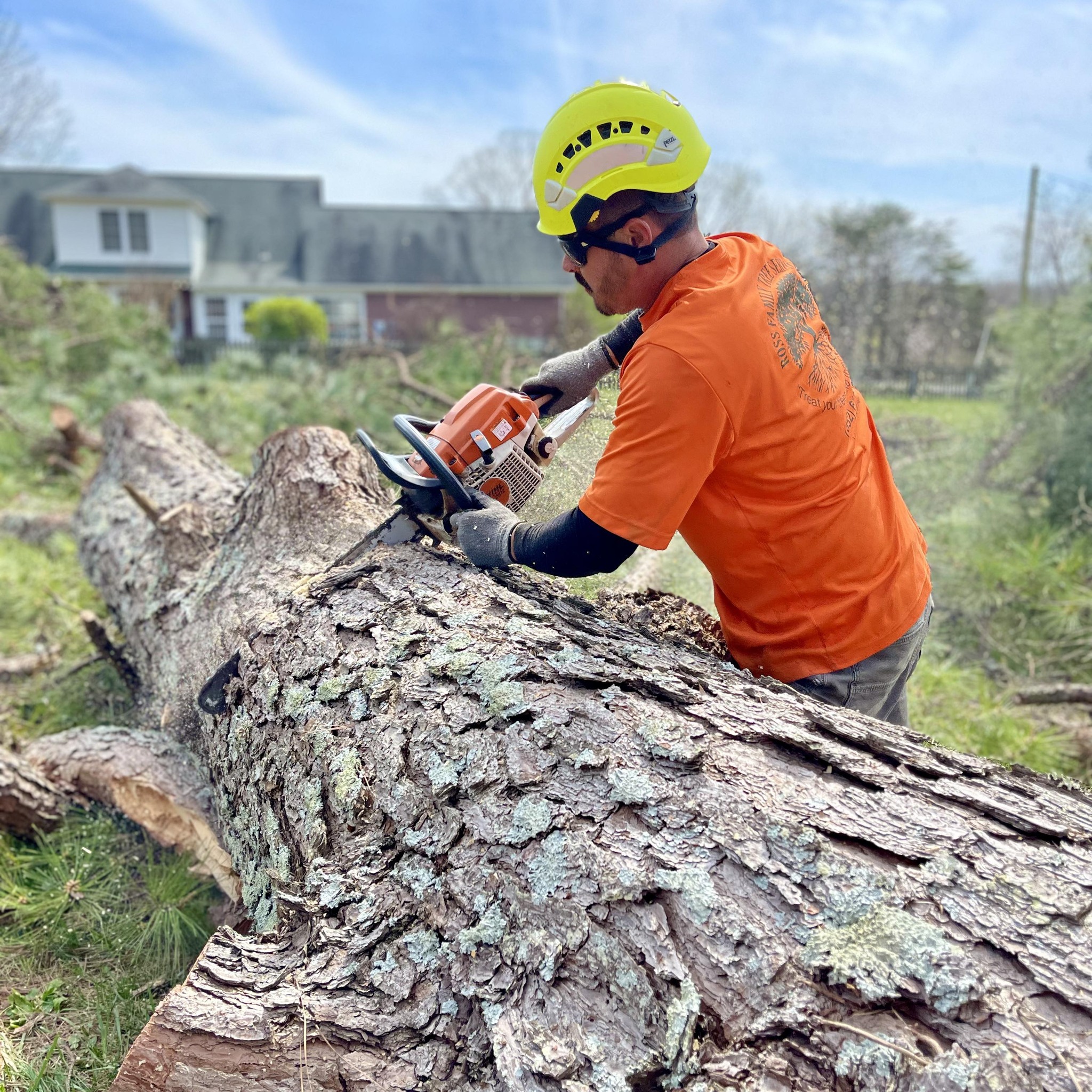 Ross Family Tree Service, LLC | Hohenwald TN