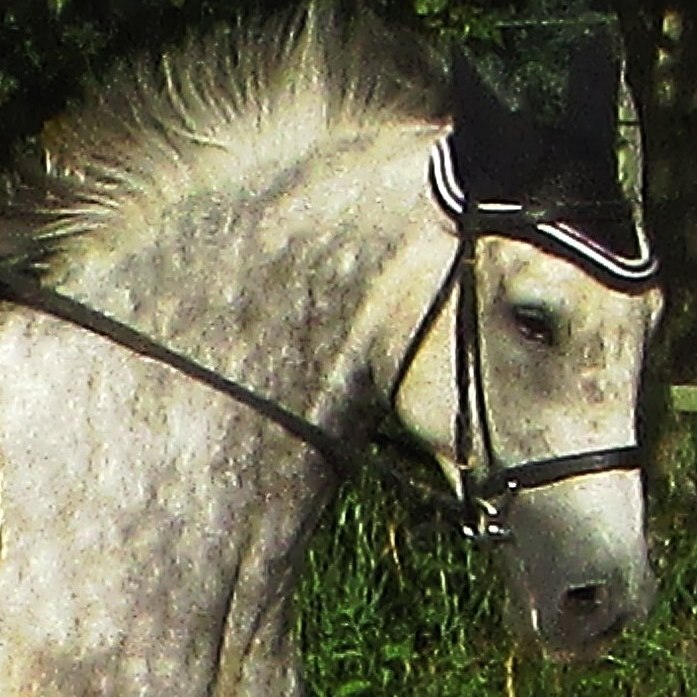 1075269_5