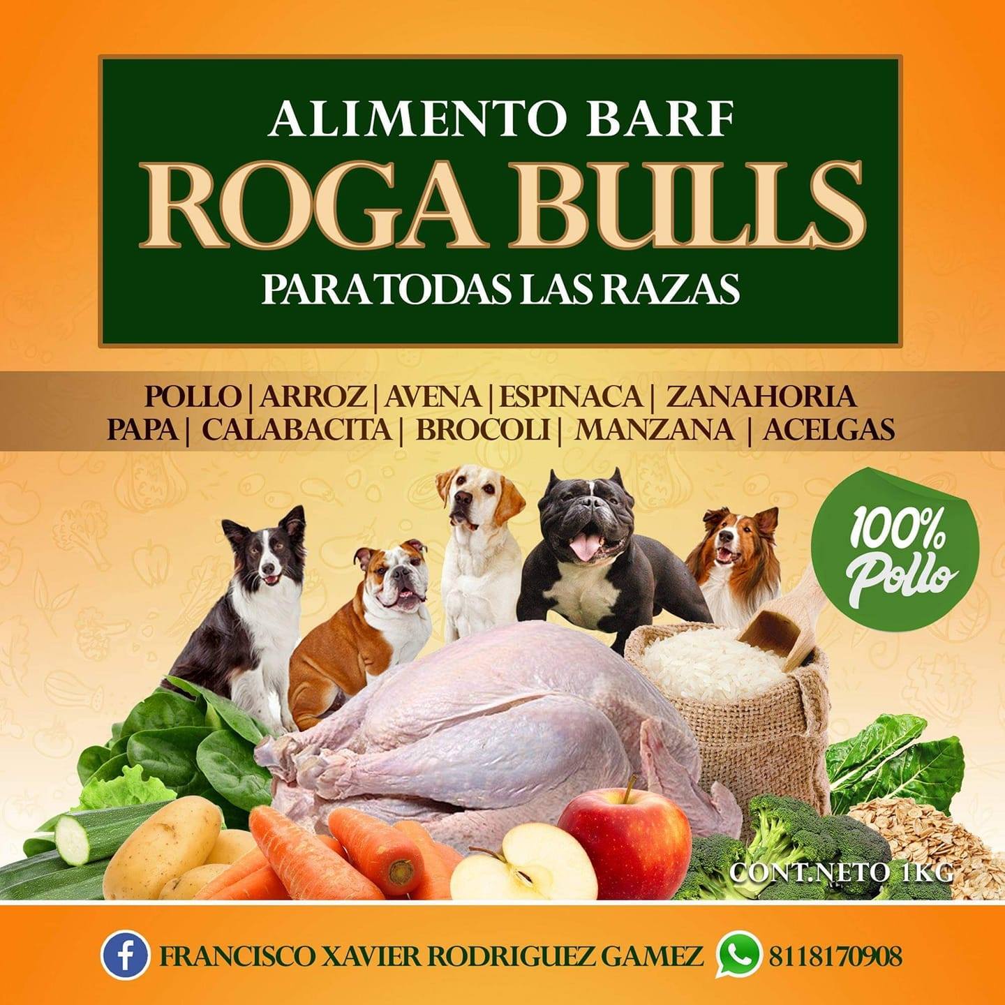 Roga Bulls Kennel MTY