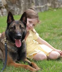 Profile for Doggy News Daily
