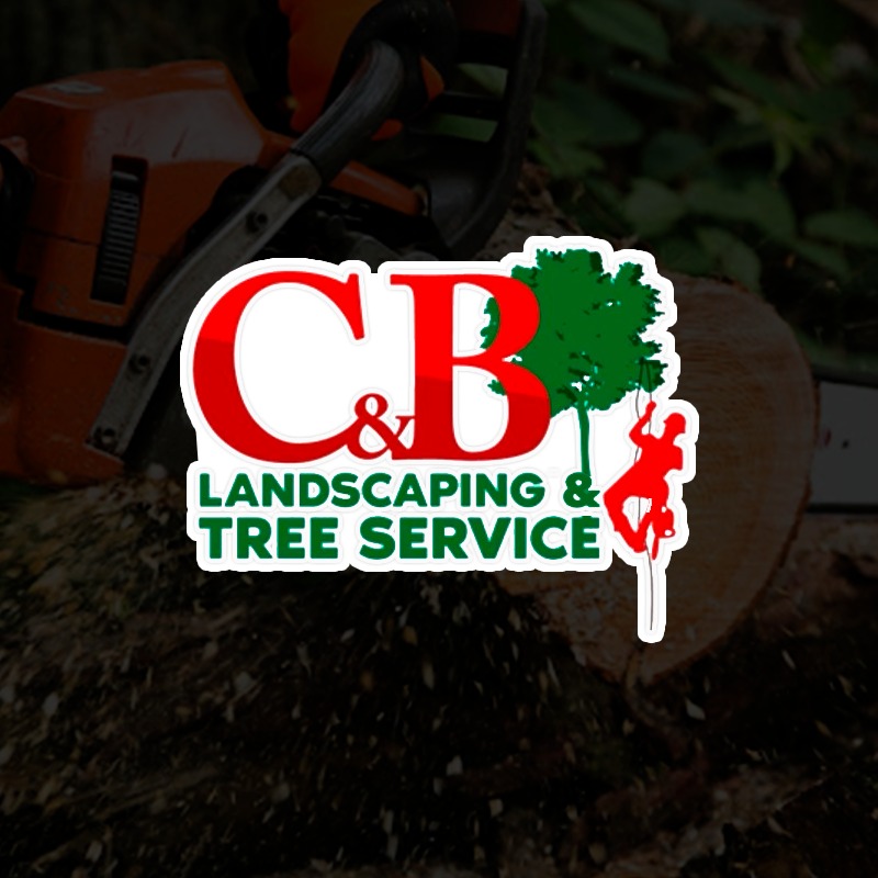 C&B Landscaping & Tree Services | Waldorf MD