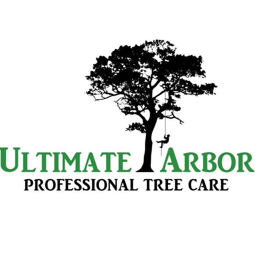Ultimate Arbor Professional Tree care