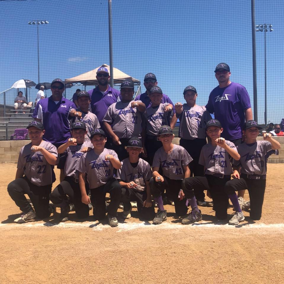 Texas Zingerz Baseball