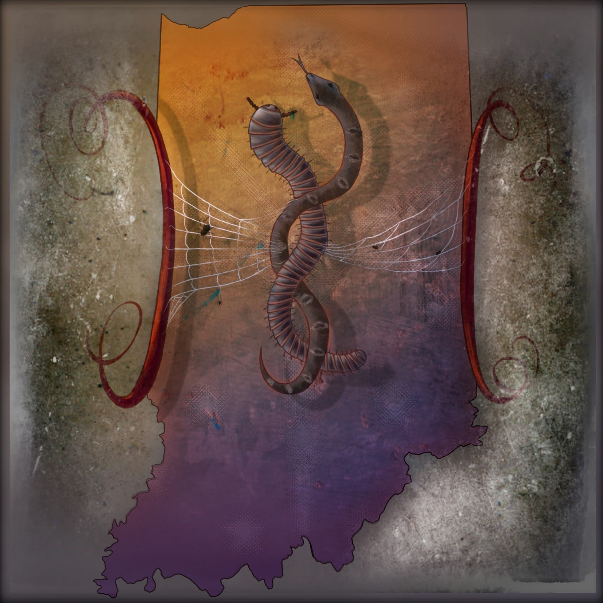 Indiana Herps and Invertebrates