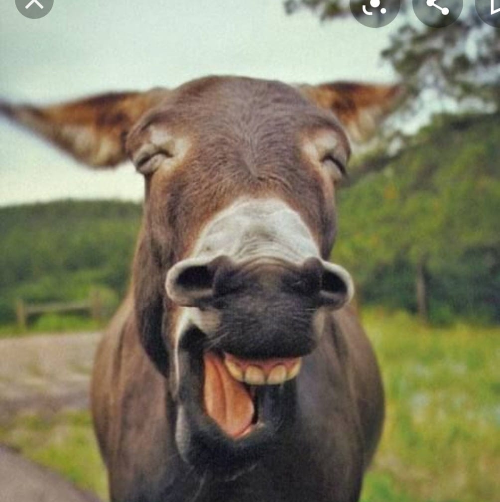 Ridere & Ridere