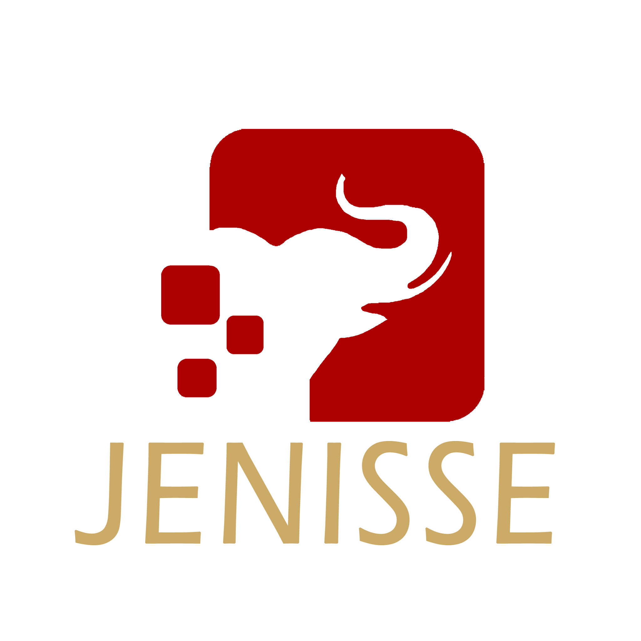 Jenisse - Publicidad Artística | La Paz