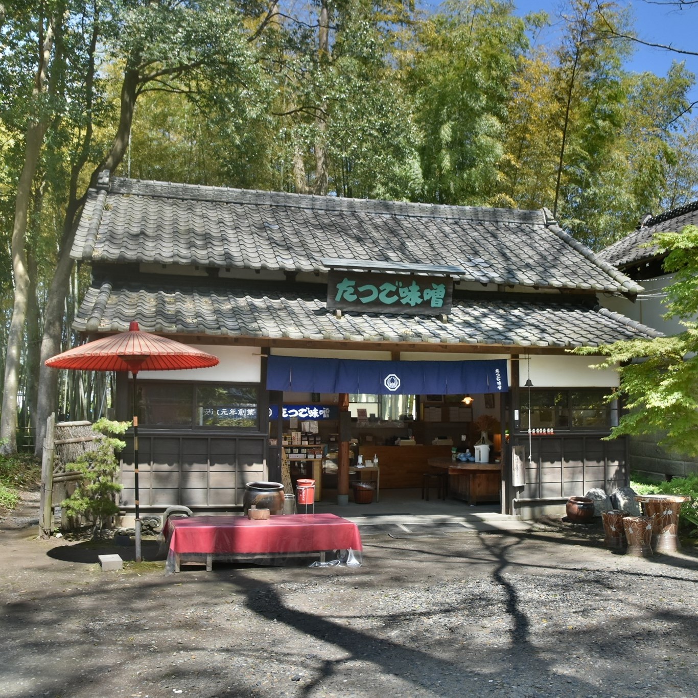たつ ご 味噌