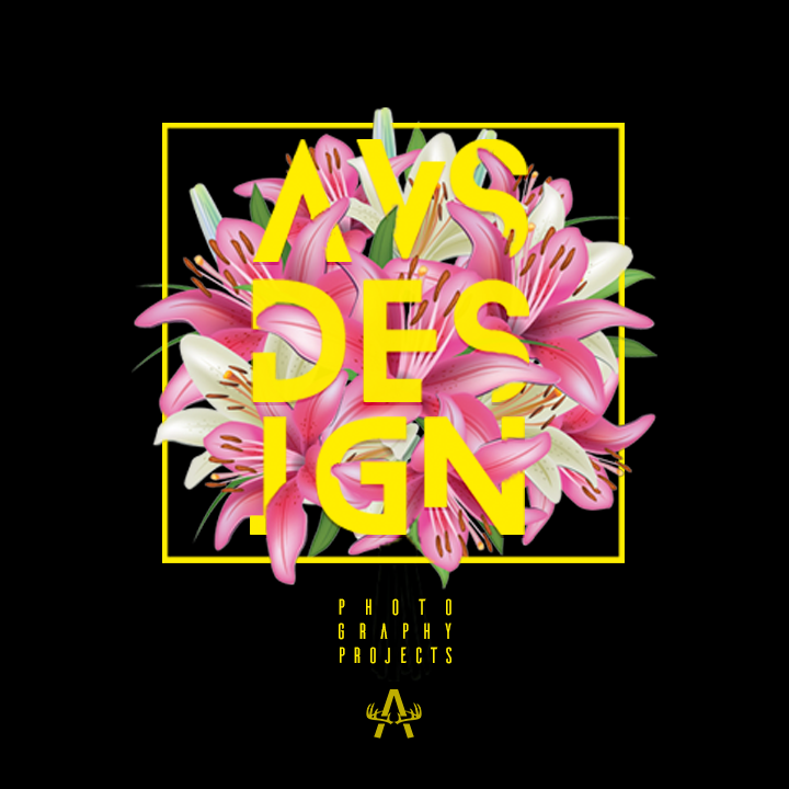 AVS Design - Photography and Projects