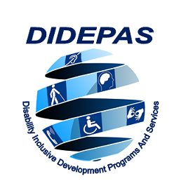 Disability Inclusive Development Programs and Services