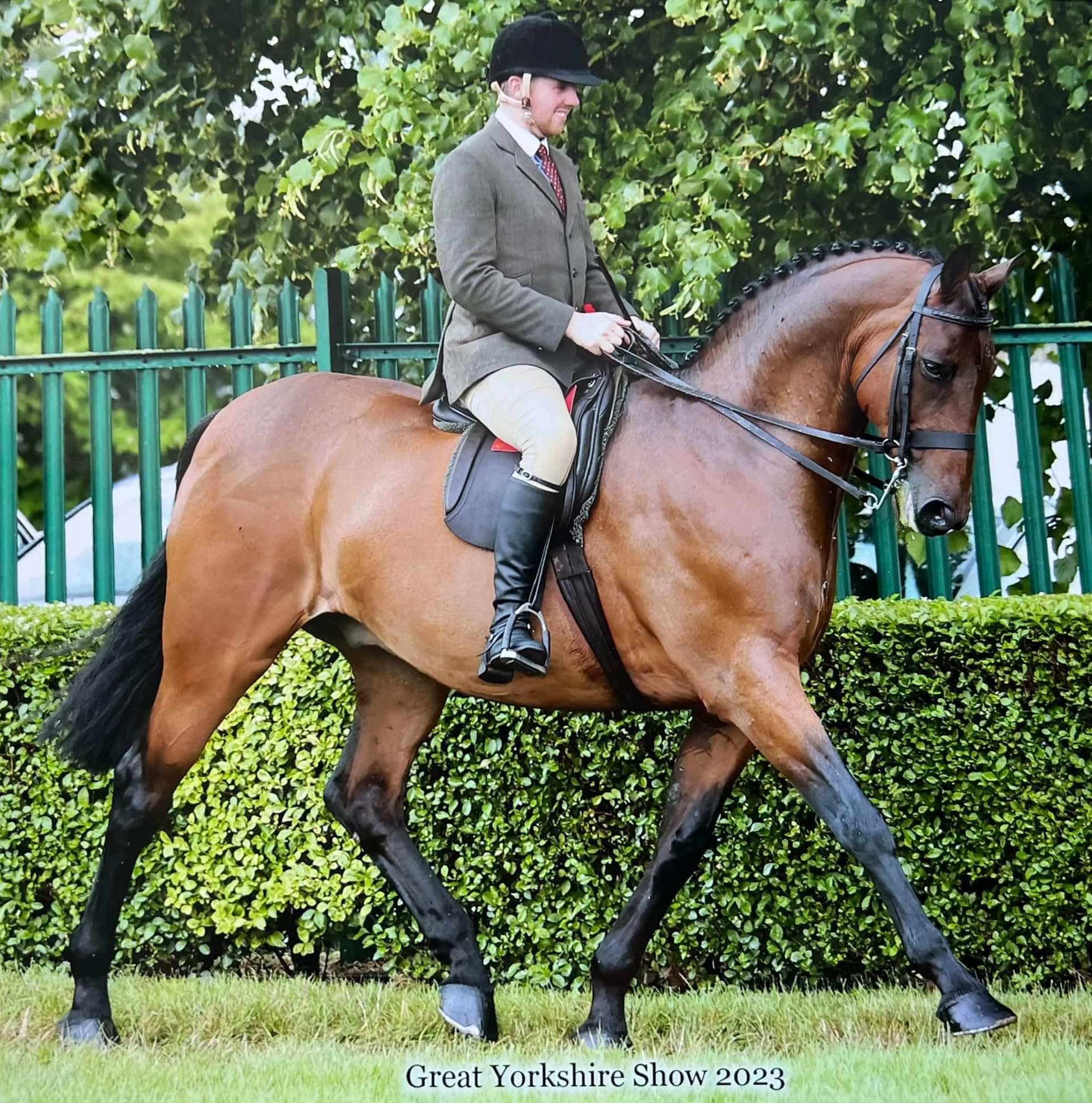 First through those famous curtains this morningwere the small riding ...