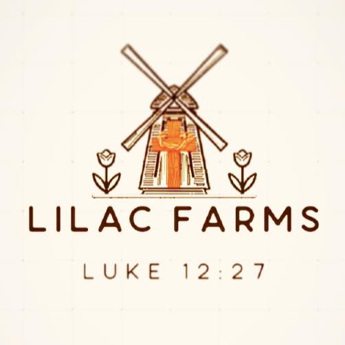 Lilac Farms - 🌿 Remember the Lilacs 🌿 Lilacs bloom in the... | Facebook