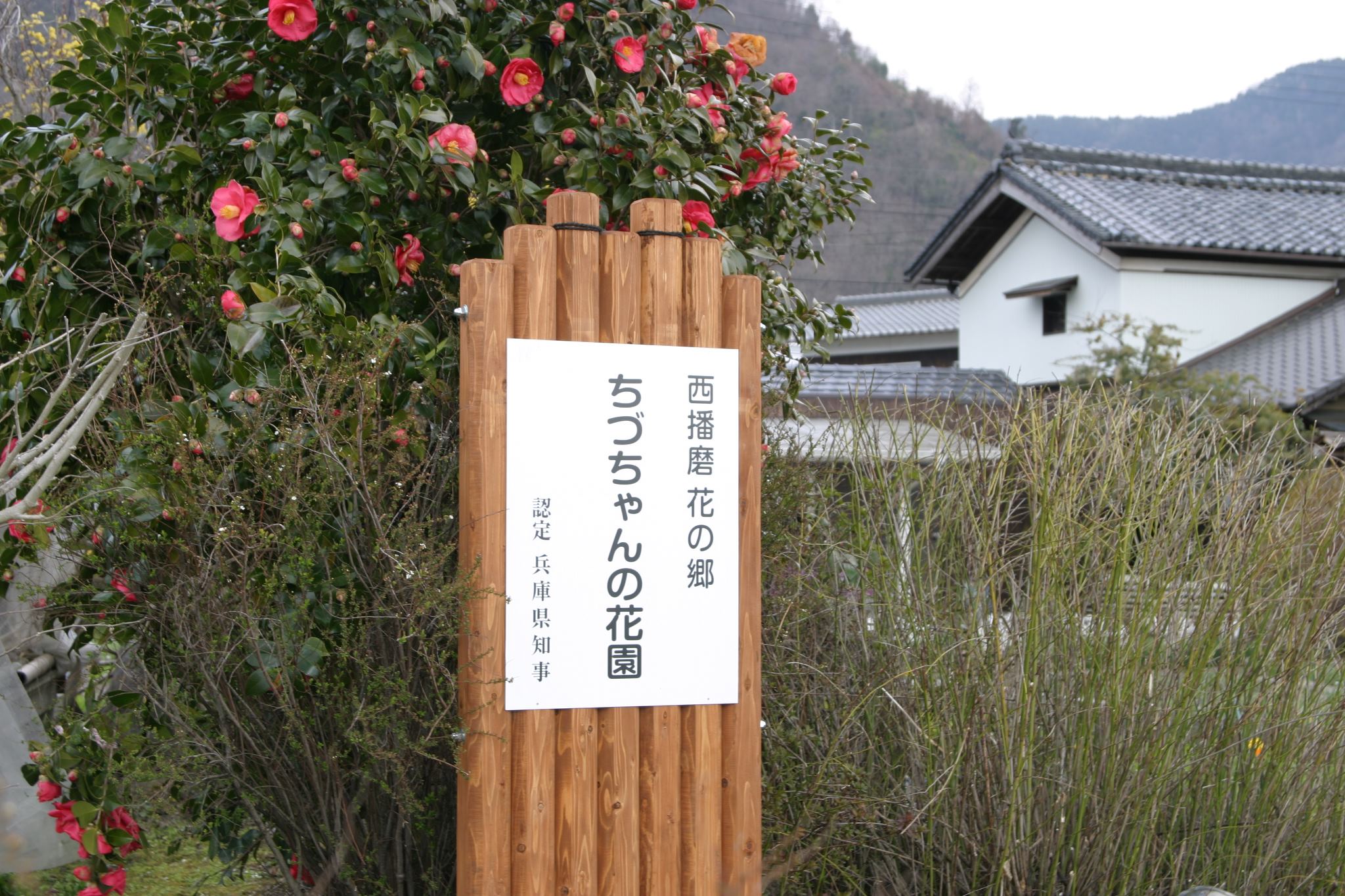 ちづちゃんの花園 Cafe 花・ありがとう | Tatsuno-shi Hyogo