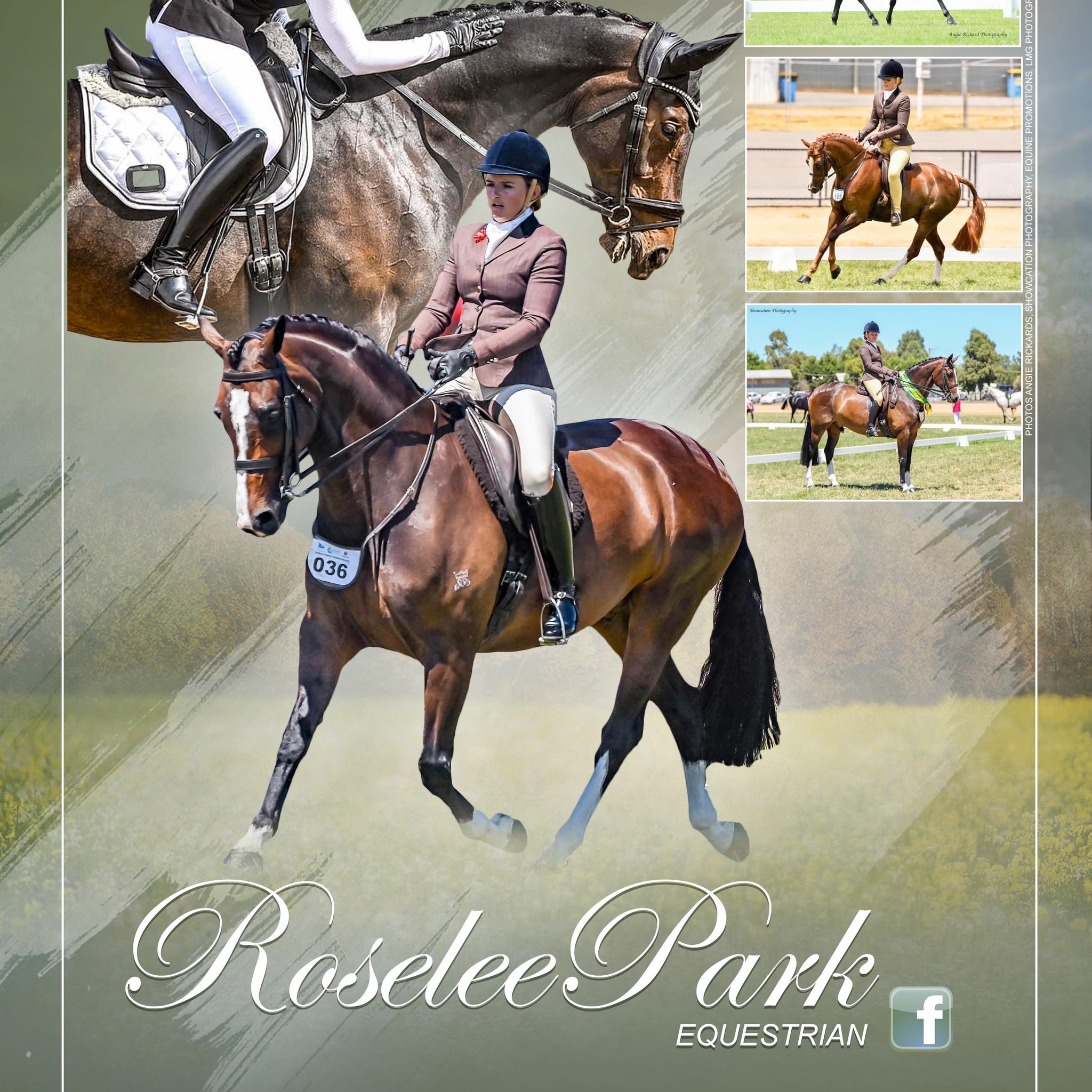 Roselee Park Equestrian | Tatura VIC
