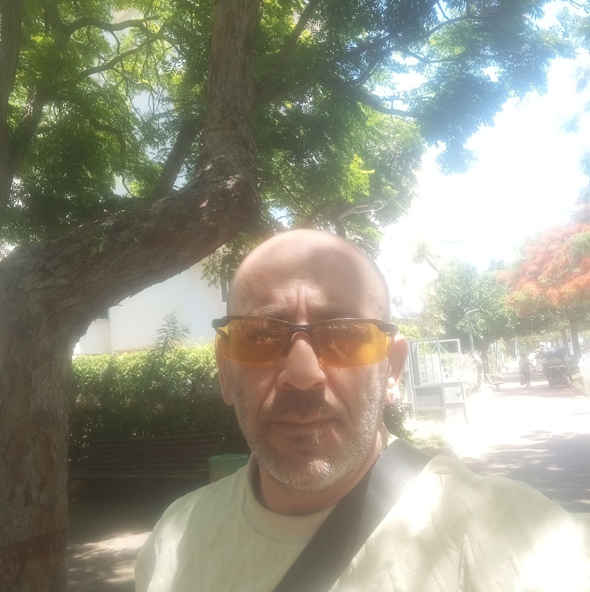 Saha Syslik