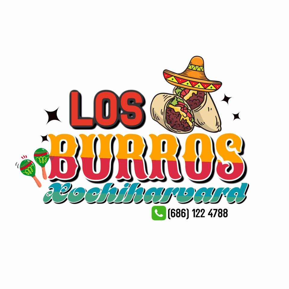 Los Burros Xochiharvard