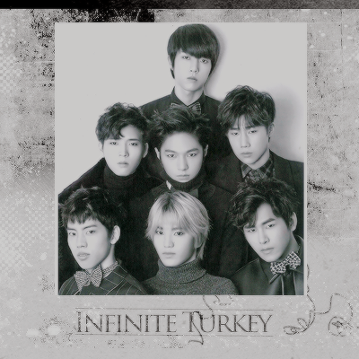Infinite Turkey