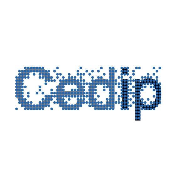 CEDIP - Centro de Investigación y Proyectos FAICA | Arequipa