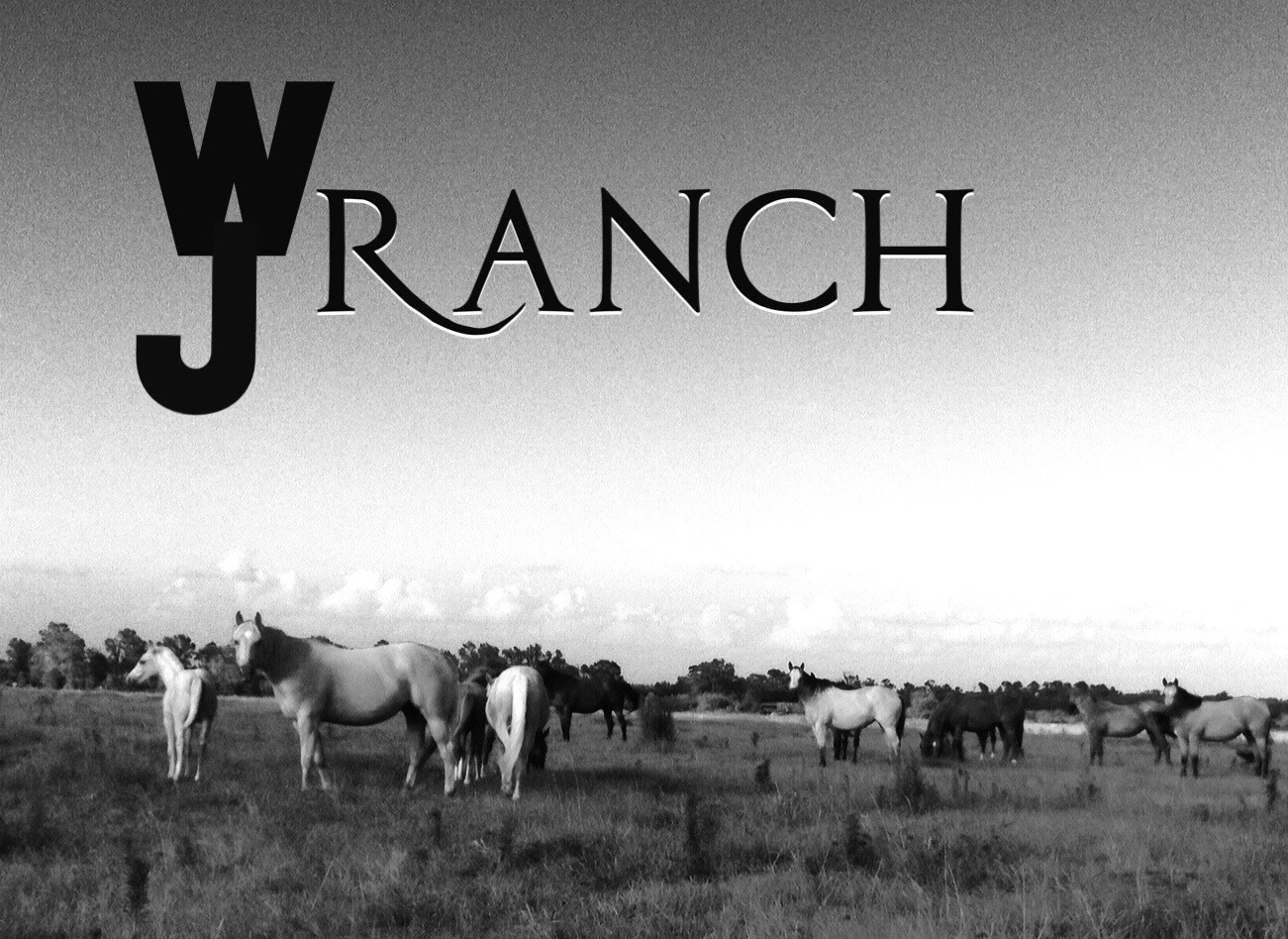 WJ Ranch