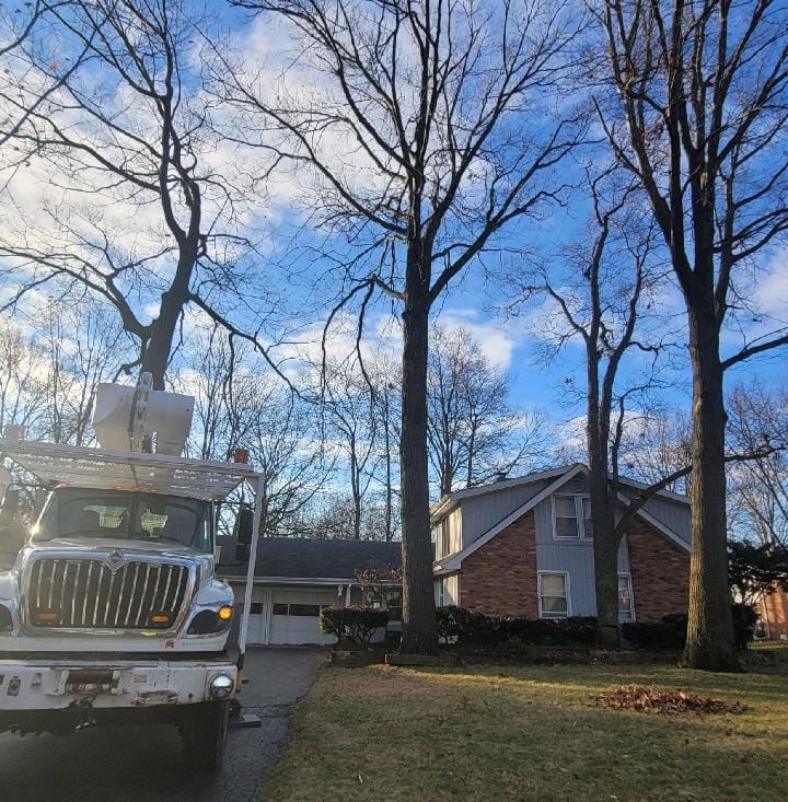 Cook's Tree Service | North Baltimore OH