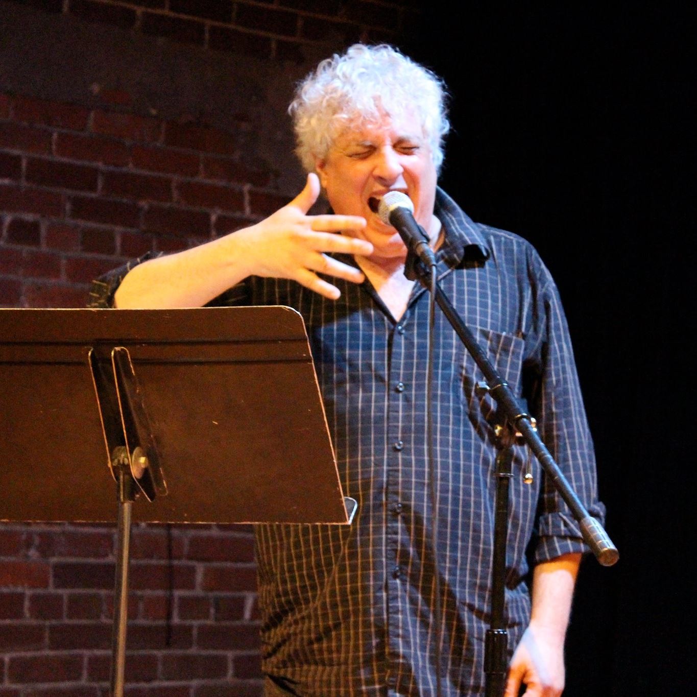 Stuart Ross, Canadian Writer