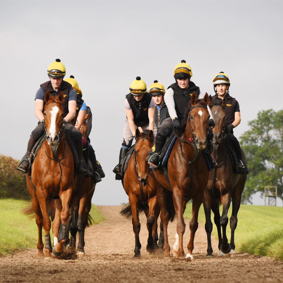 Henry Daly Racing | Ludlow
