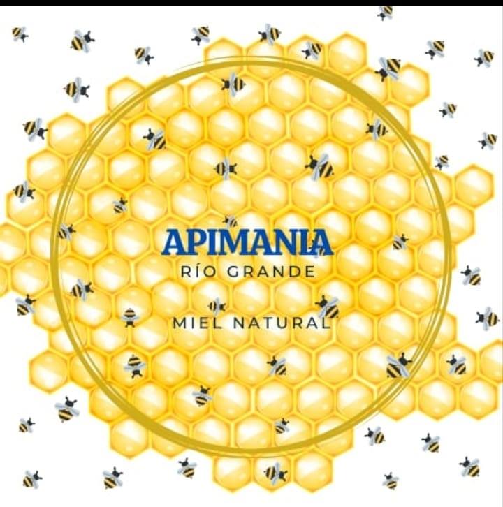 Apimania Abejas Y Miel