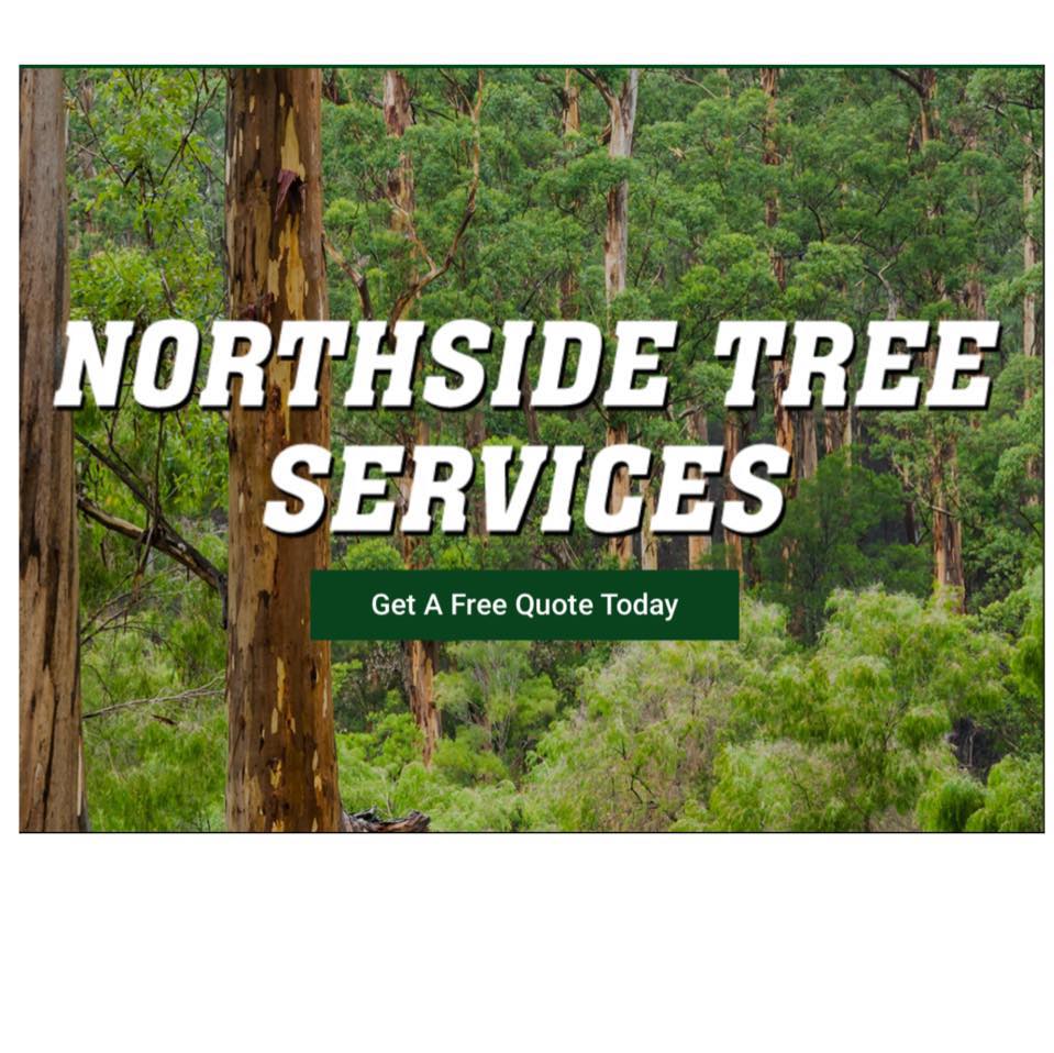 Northside Tree Services | Brisbane QLD