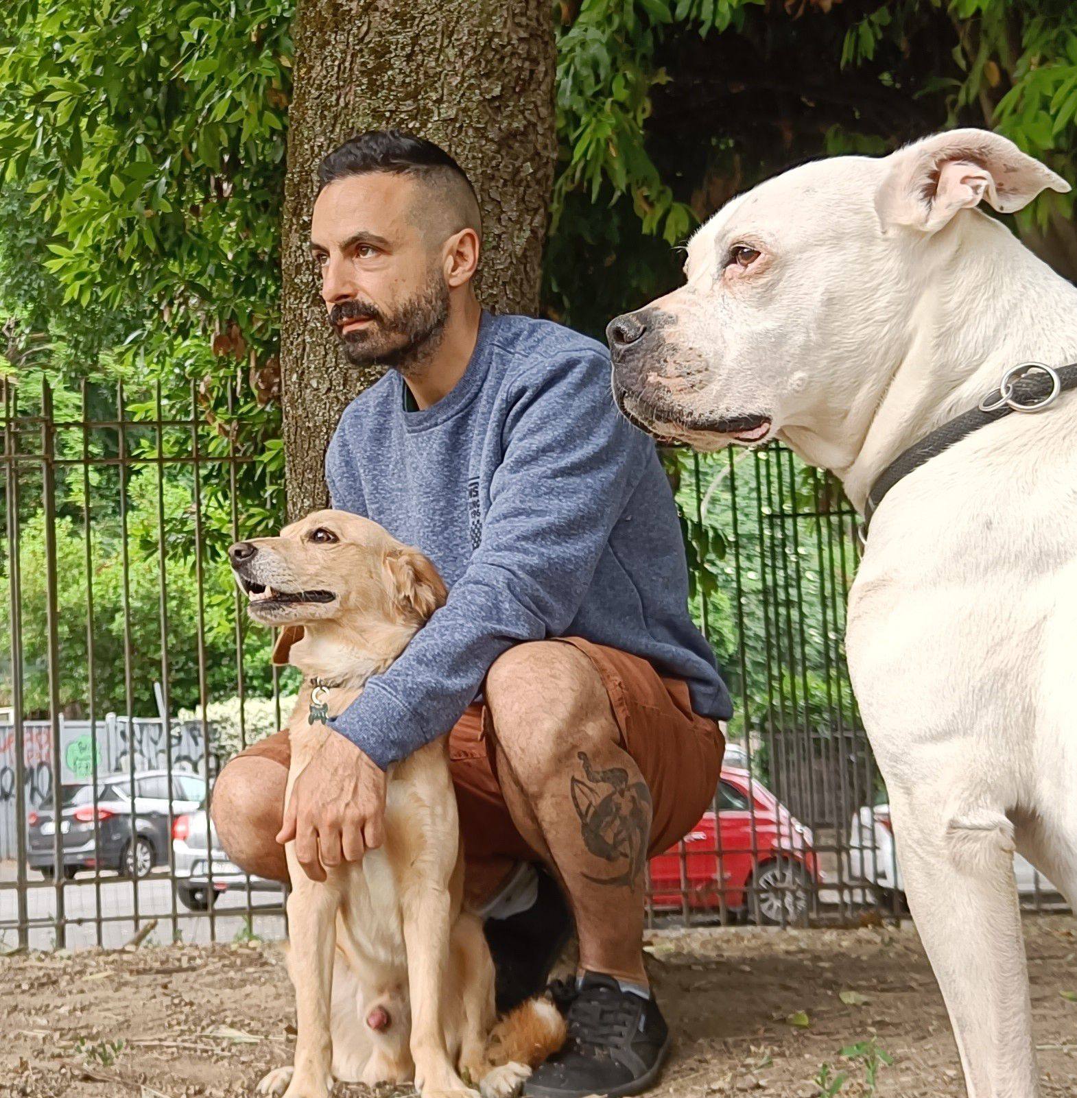 Una delle doti dei nostri cani è la Docilità, la naturale propensione ...