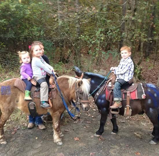 5M Farms Cowboy Adventures & Trail Rides | Wickes AR