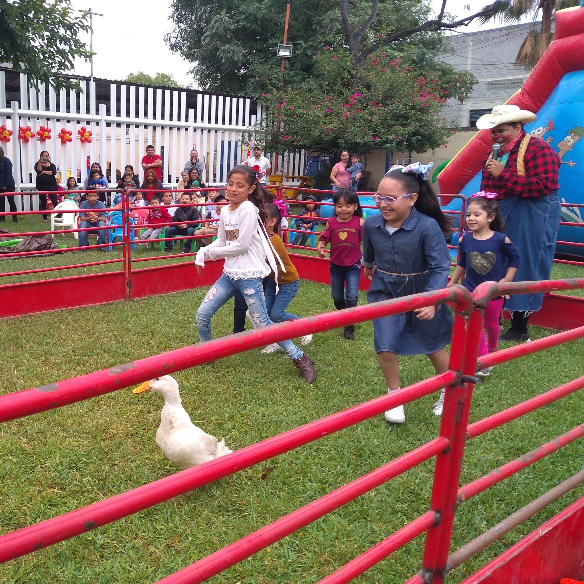 Ponys y mini rodeo fiesta regia