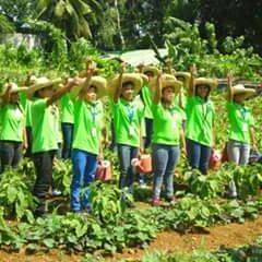 LNAS Senior HIGH - batch 2014-2016