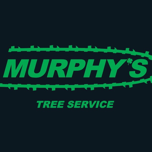 Murphy’s Tree Service LLC | Cannon Falls MN