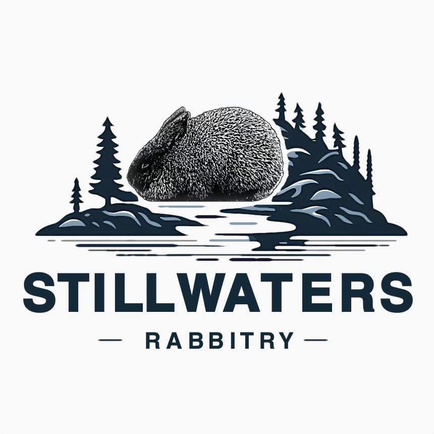 Something about Rex rabbit... - Still Waters Rabbitry & Farm | Facebook