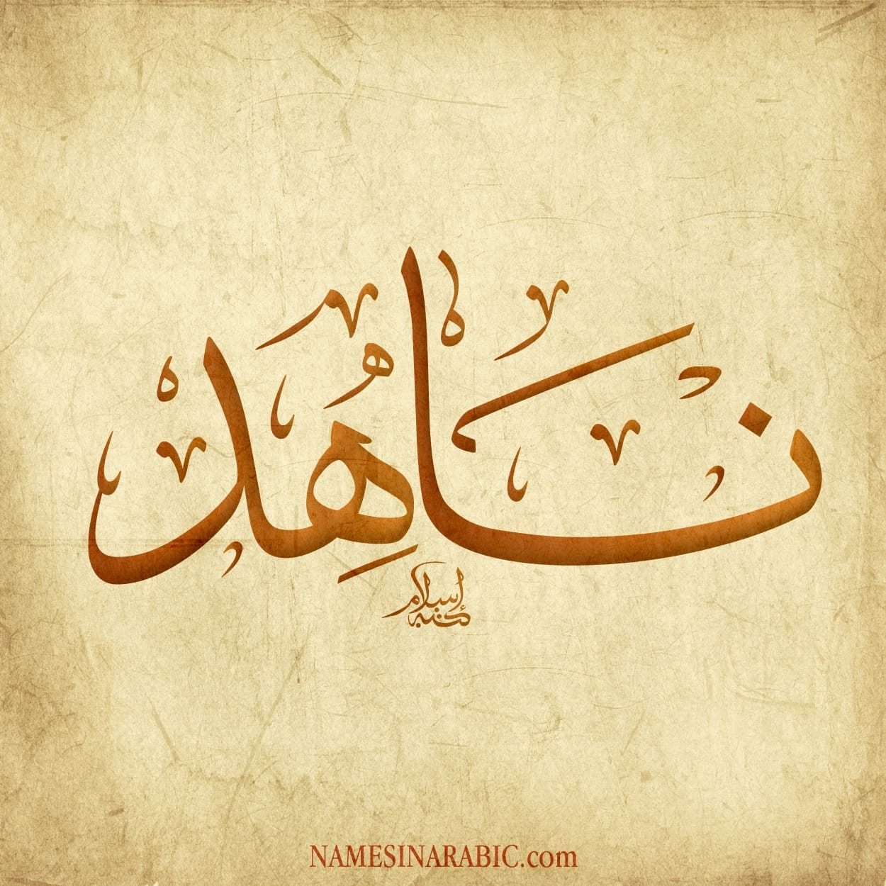 ‎ناهد لملابس النساء... - ناهد لملابس النساء والأطفال