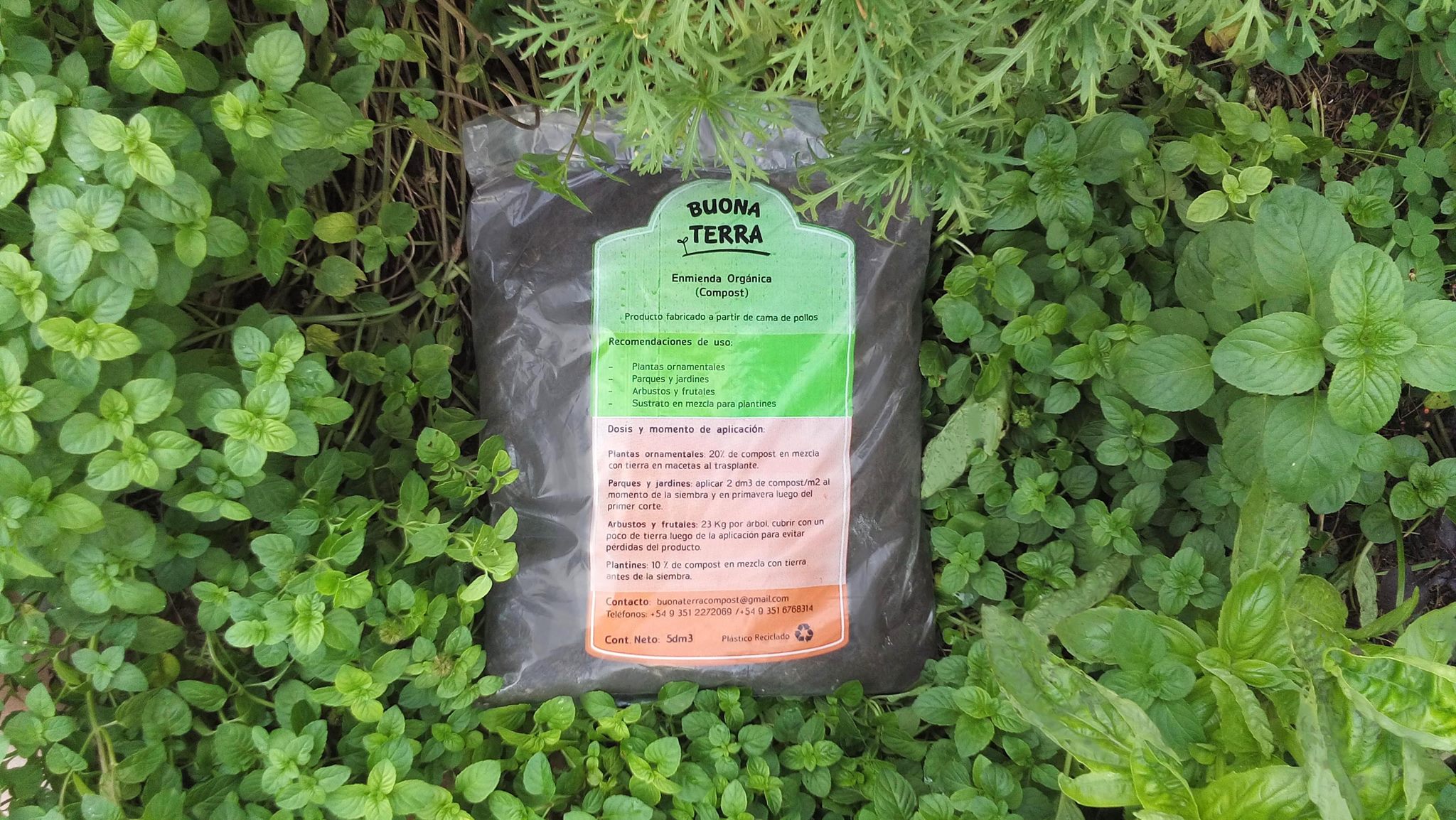 Buona Terra Compost