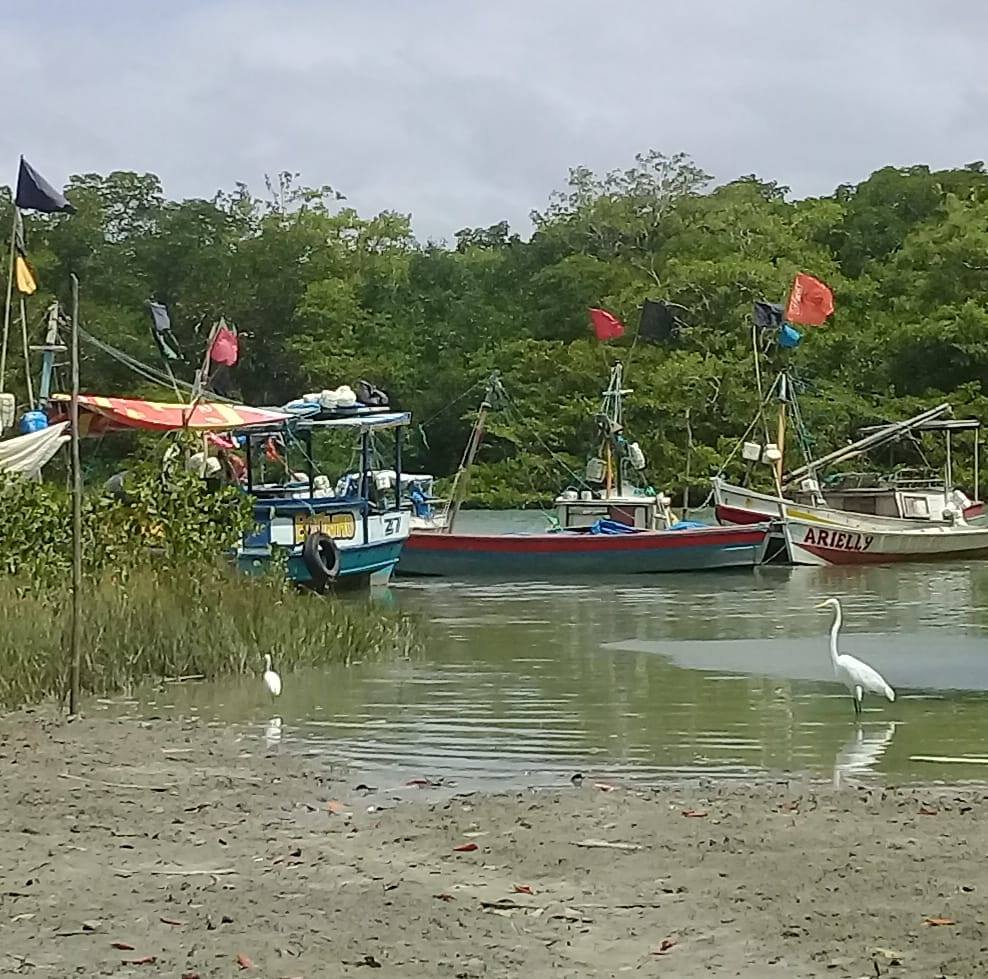 Camambá, na Ilha de Algodoal / Pará