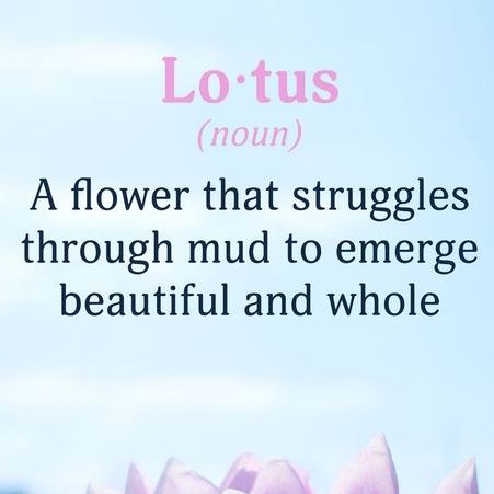 Lotus Counselling & Psychotherapy