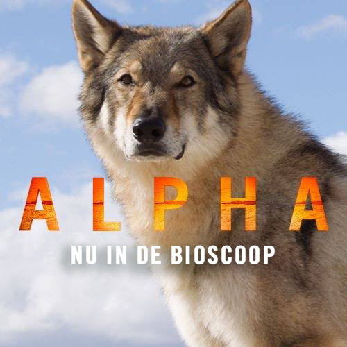 Alpha