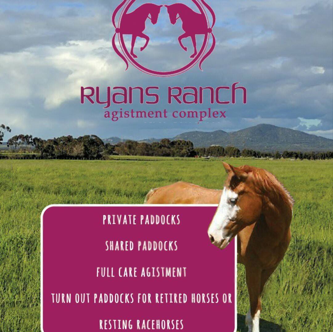 Equine Education for home schoolers | Lara VIC