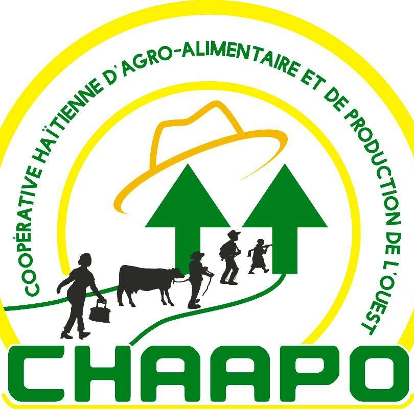 Chapoo Haiti