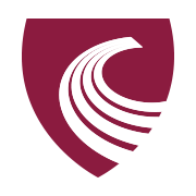 Chartered Accountants Student Society Galway - CASSG | Galway