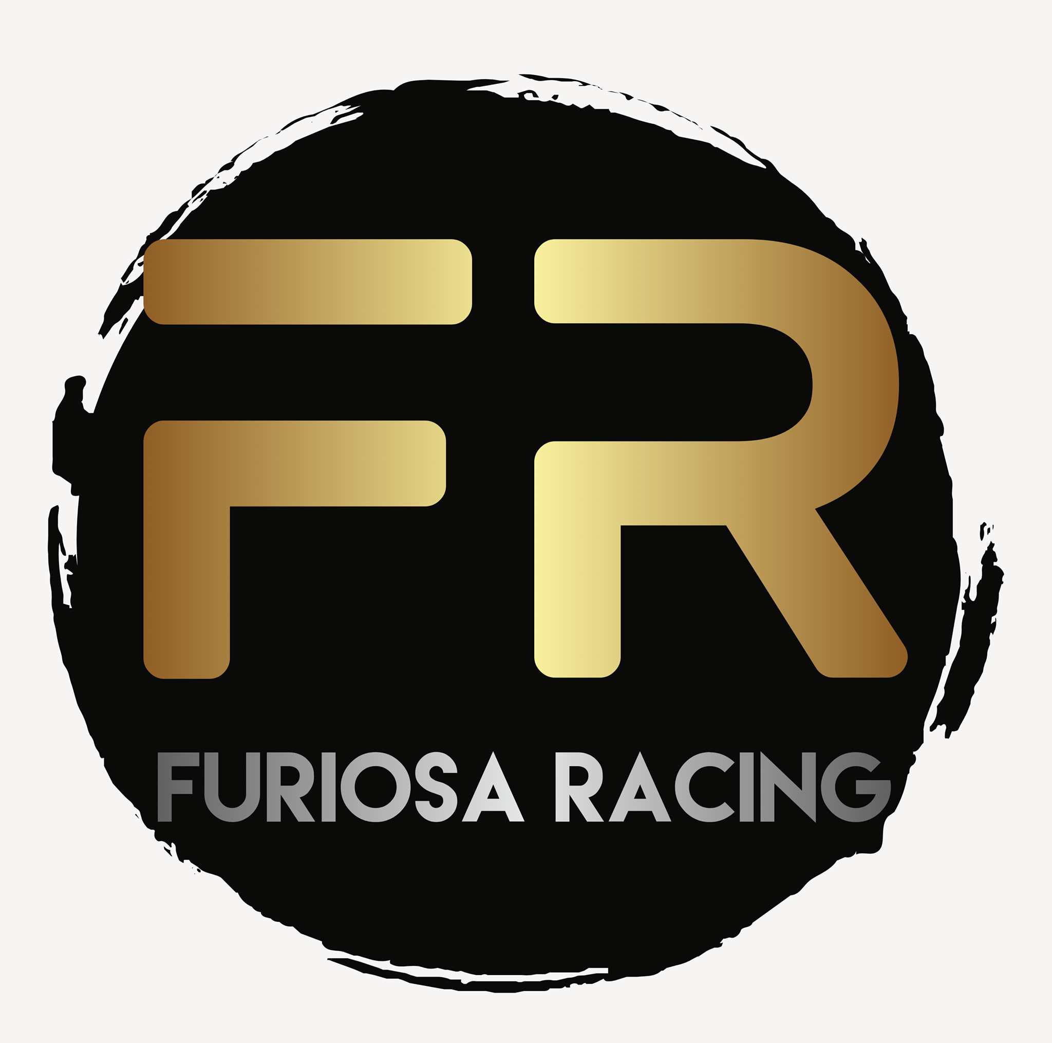 Furiosa - WSSP World Champion. WorldSBK race winner. Factory Superbike ...