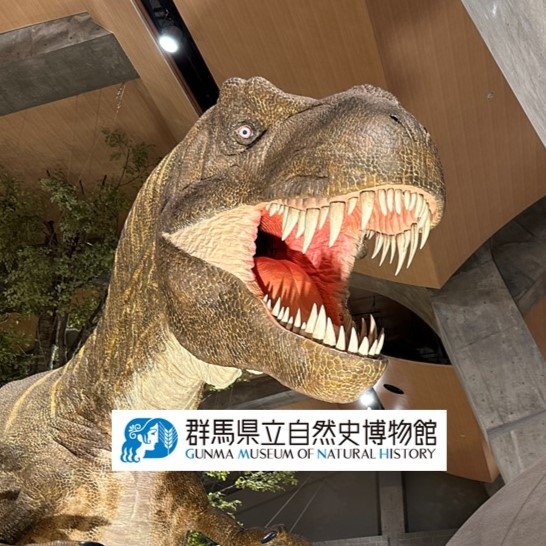 群馬県立自然史博物館 - \特別講演会開催‼／ 3/16(日)に群馬県立自然史博物館 #長谷川善和 名誉館長の講演会を開催します。 皆様のご ...