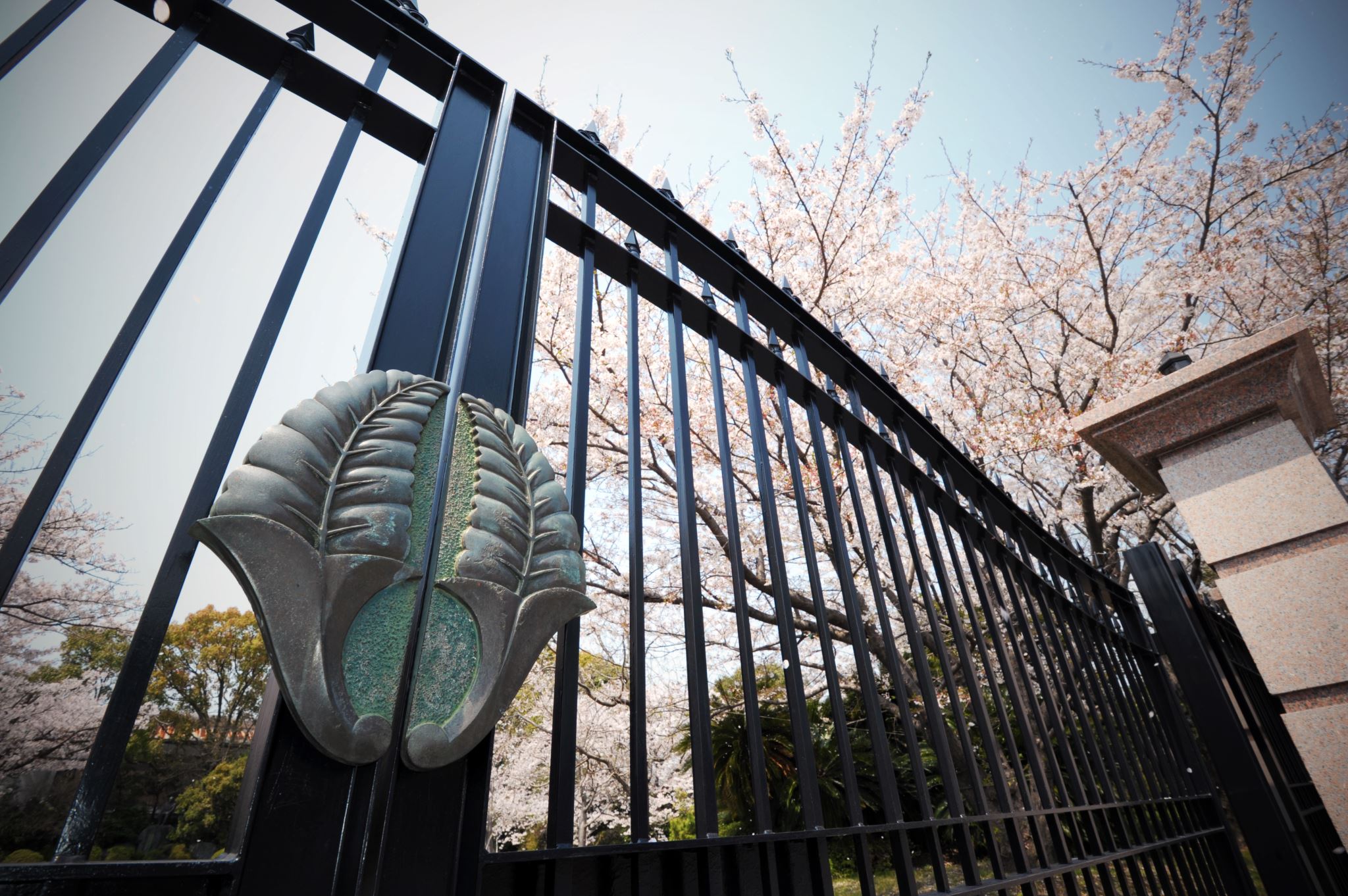 柳川 高等 学校