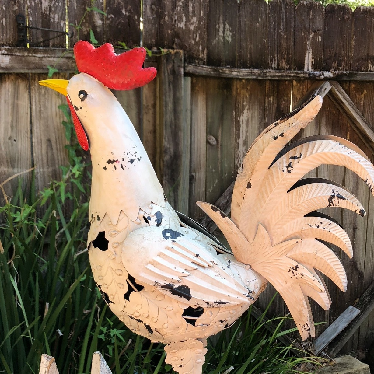 82 Marketplace | Fall is on the air, especially in the mornings, so it ...