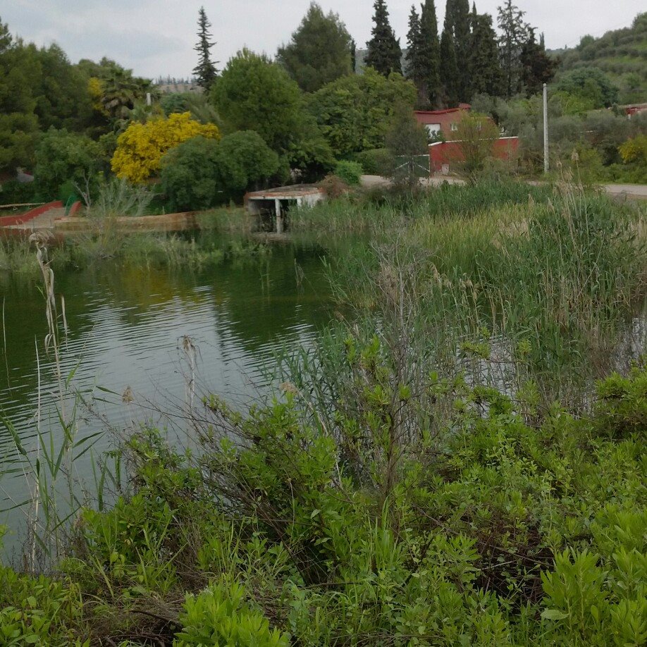 Dayet erroumi,la nature vierge | Al Khmissat