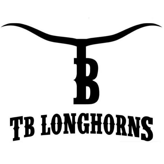 Double R Ranch Longhorns | Grandview TX