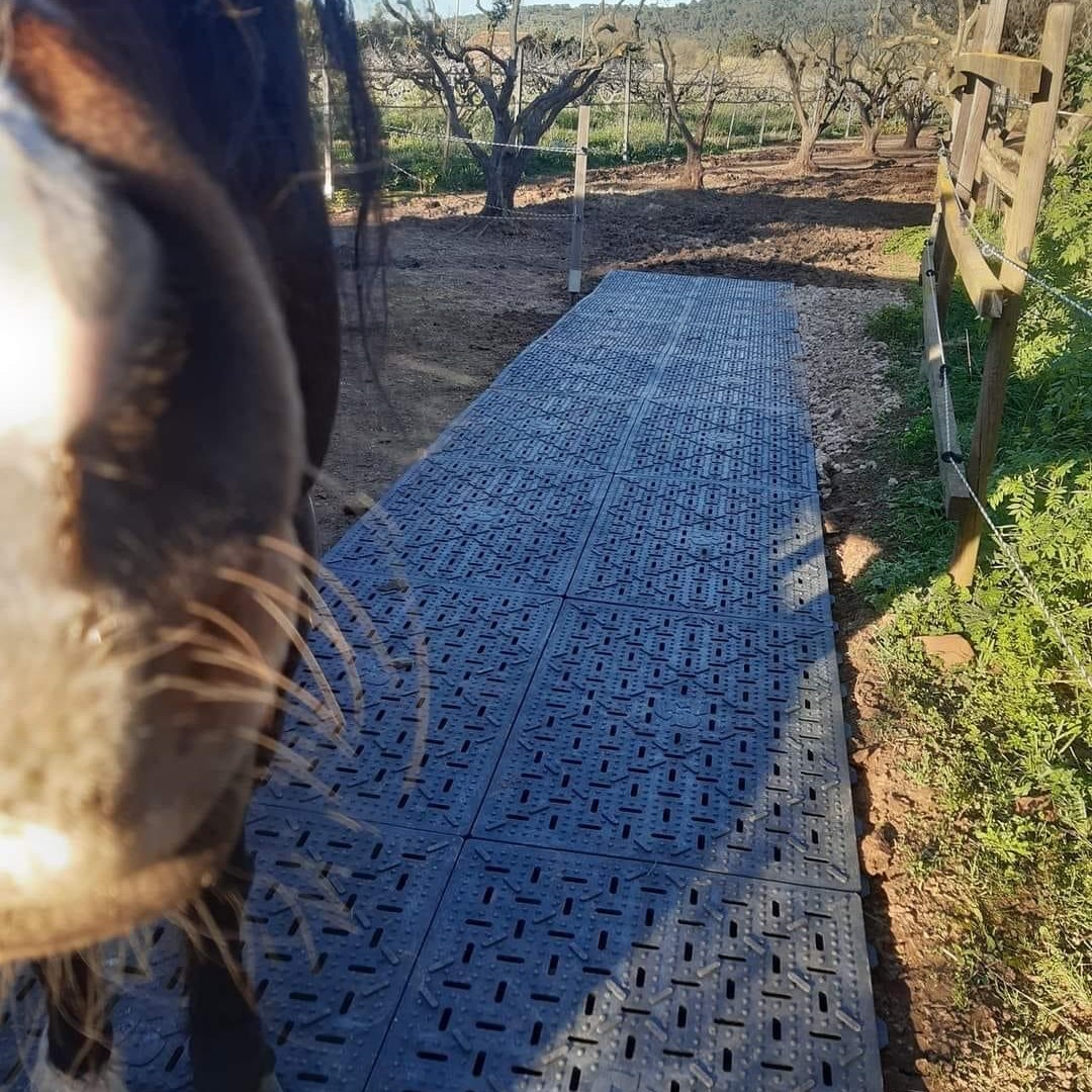 Barns On a Budget! 🐴 | Is there a way to seal the seams of mats | Facebook