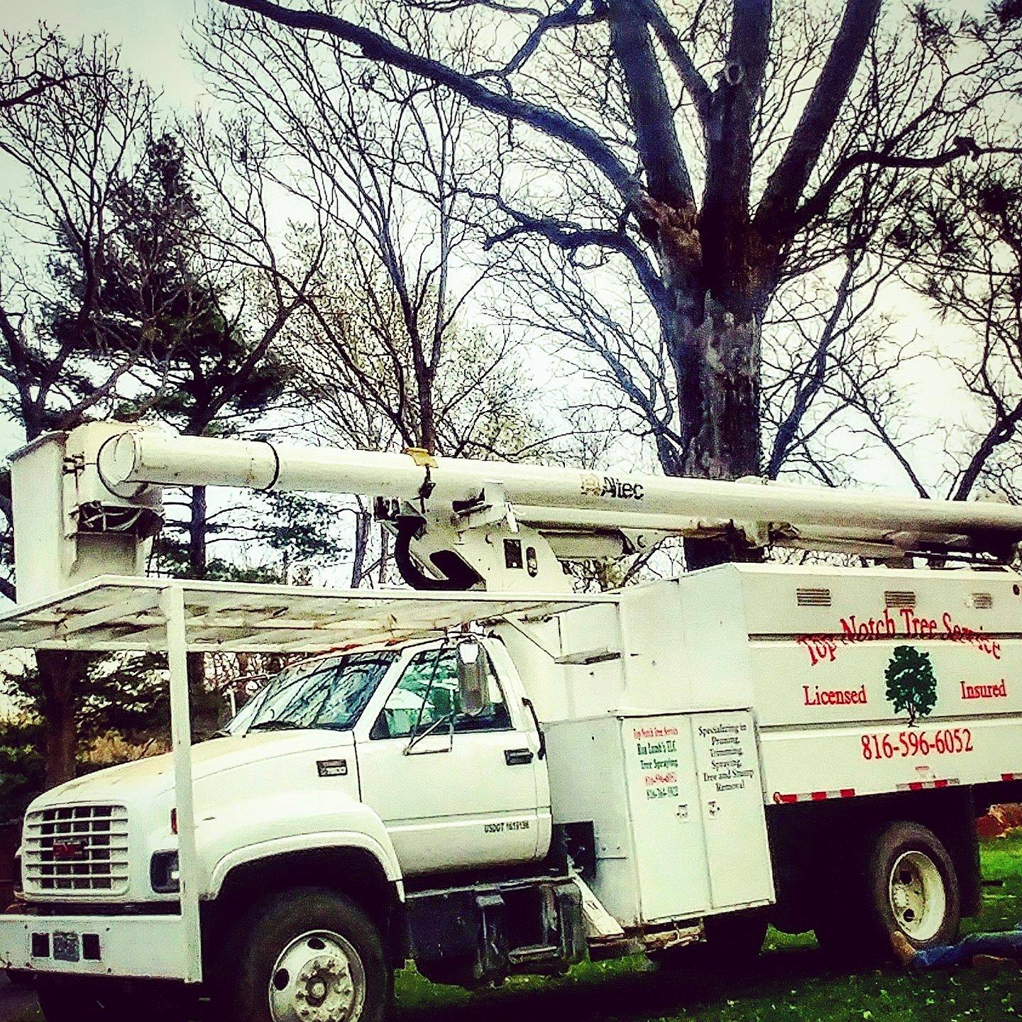 Top Notch Tree Service | Easton MO